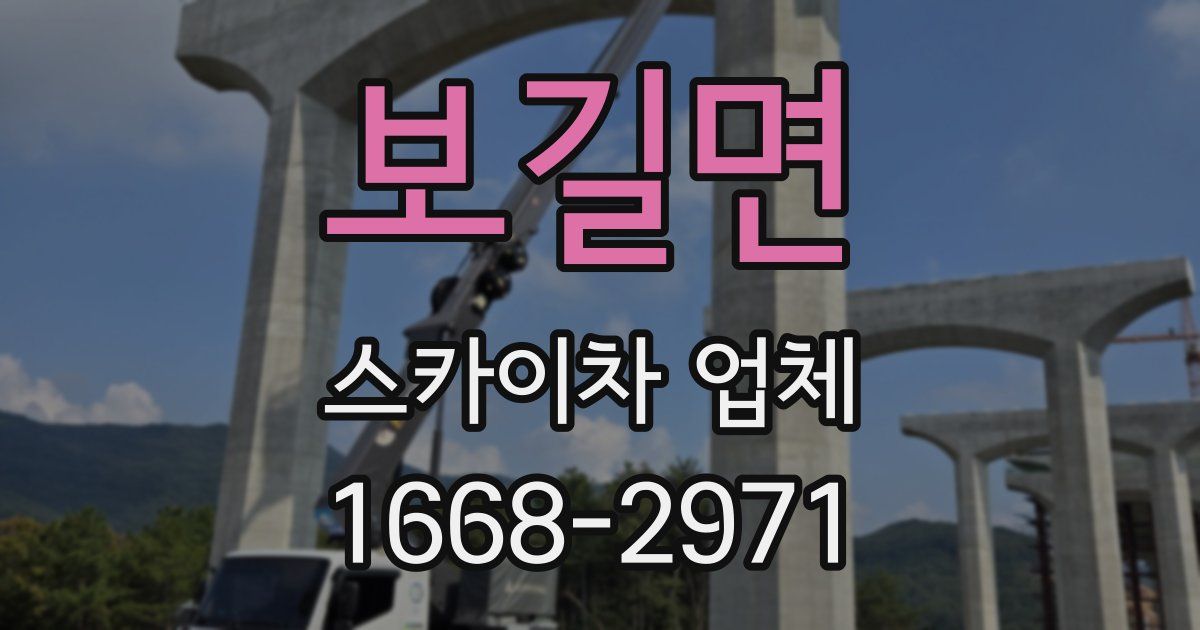 보길면 스카이차 업체