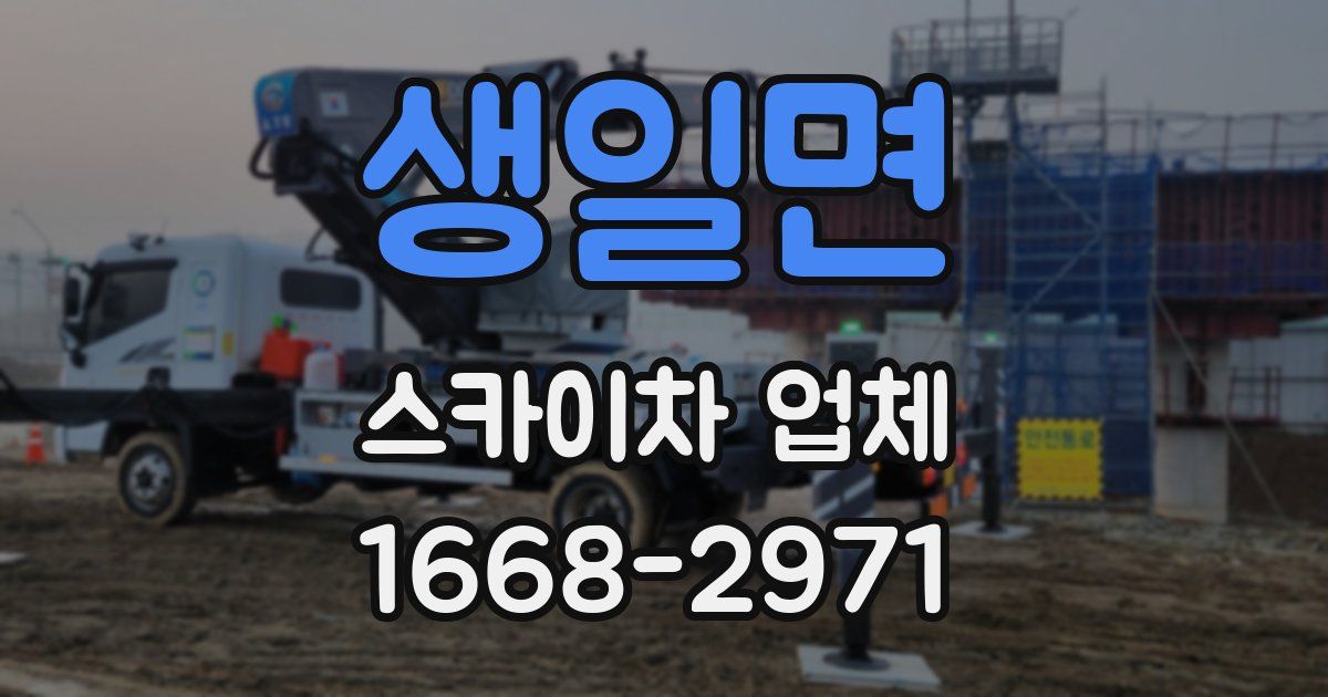 생일면 스카이차 업체
