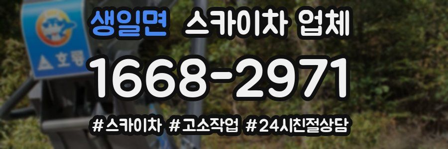 생일면 스카이차 업체