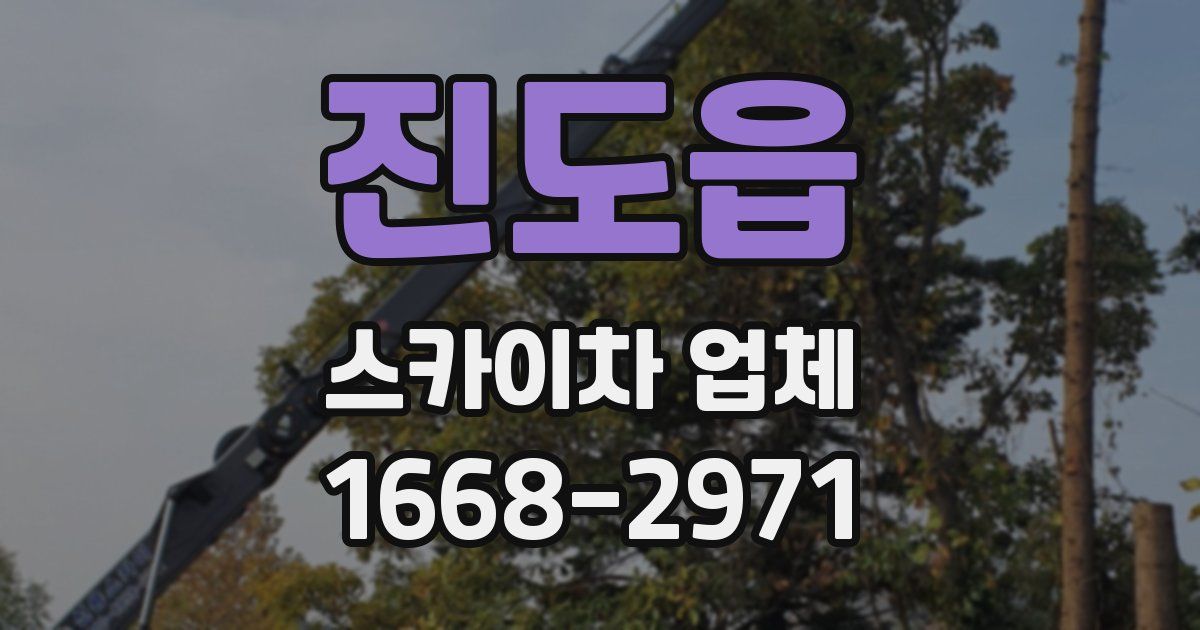 진도읍 스카이차 업체