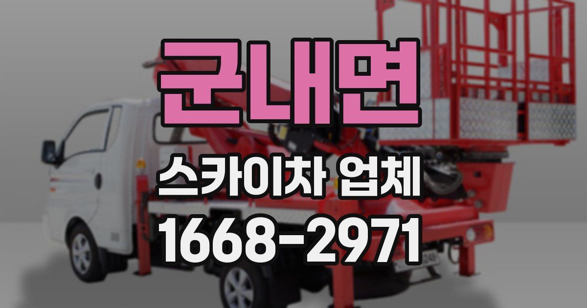 군내면 스카이차 업체