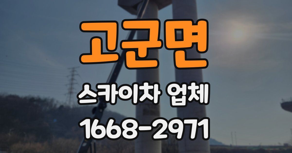 고군면 스카이차 업체