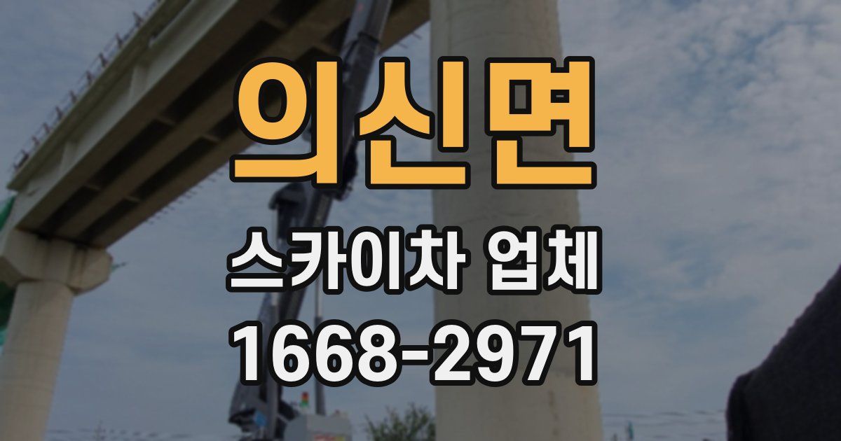 의신면 스카이차 업체