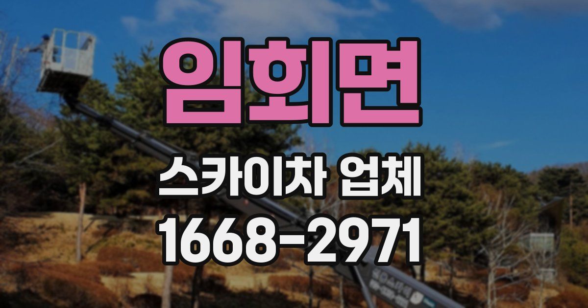 임회면 스카이차 업체