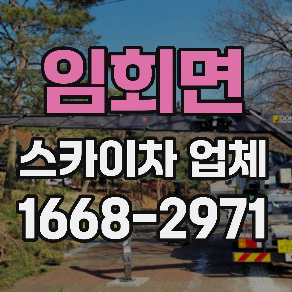 임회면 스카이차 업체