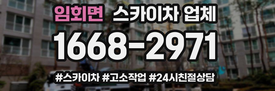 임회면 스카이차 업체