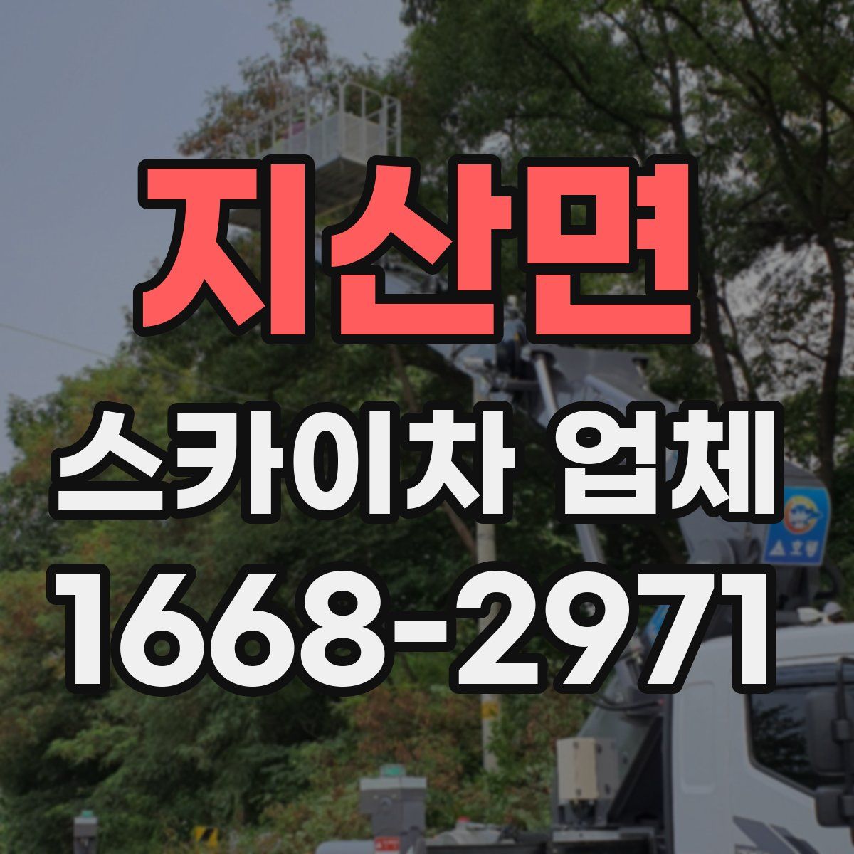 지산면 스카이차 업체