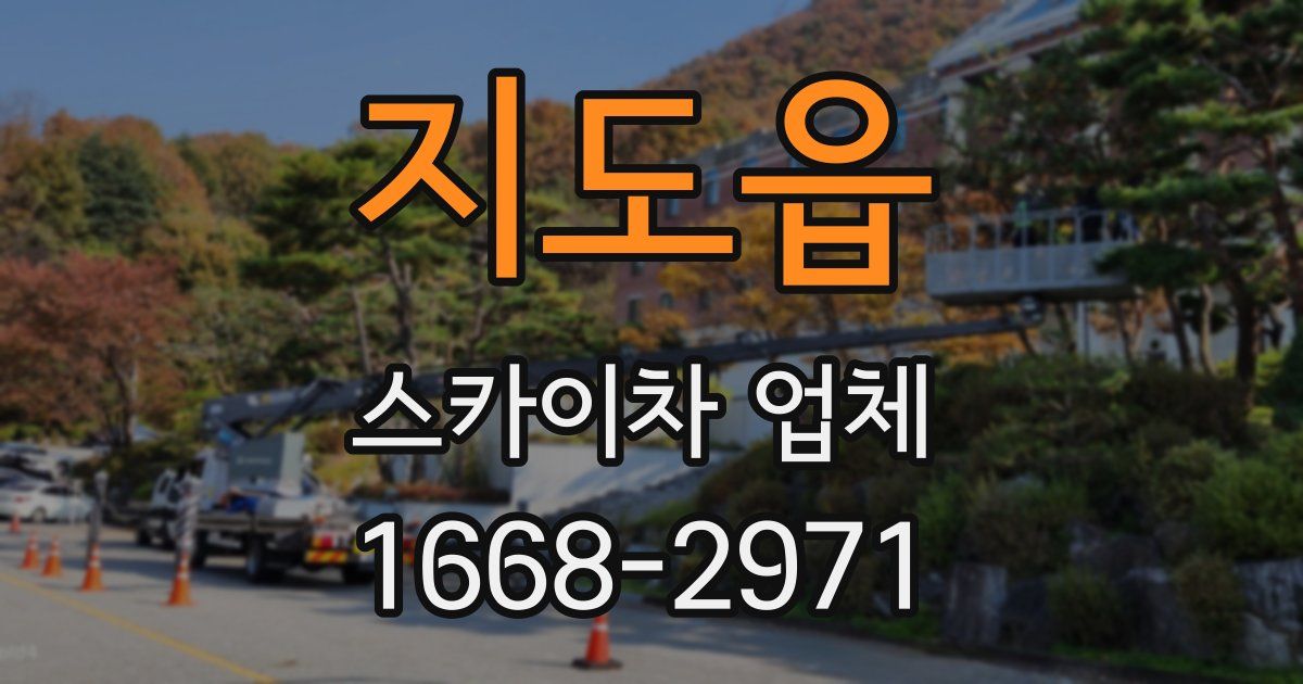 지도읍 스카이차 업체