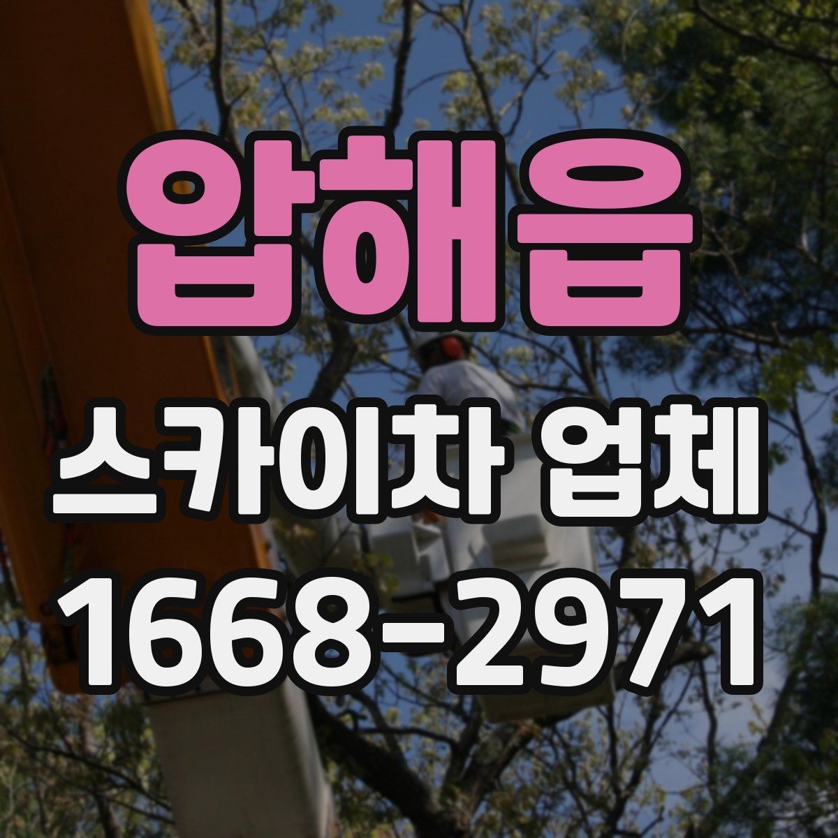 압해읍 스카이차 업체 찾을 때 지역 내 이동 거리도 중요할까