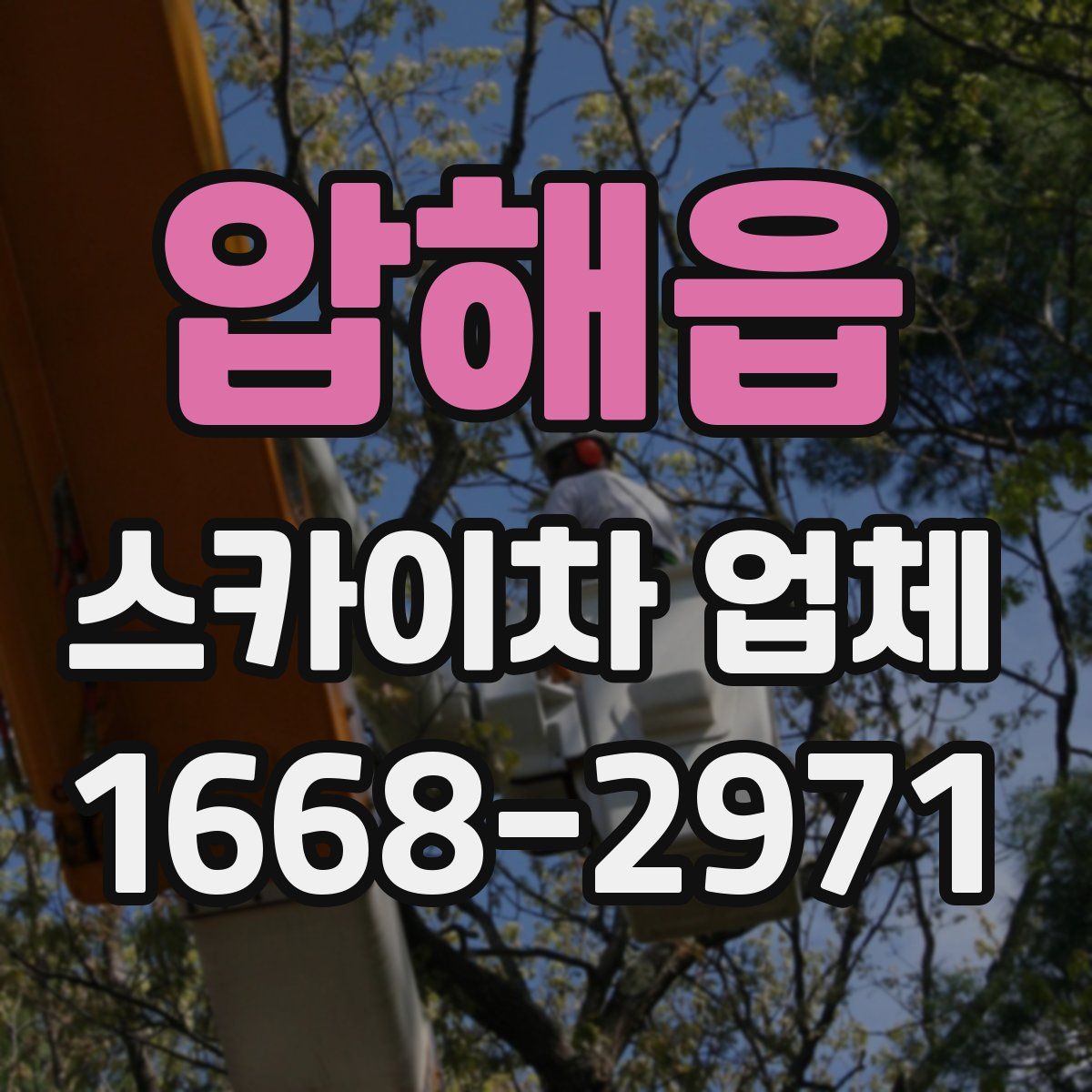 압해읍 스카이차 업체
