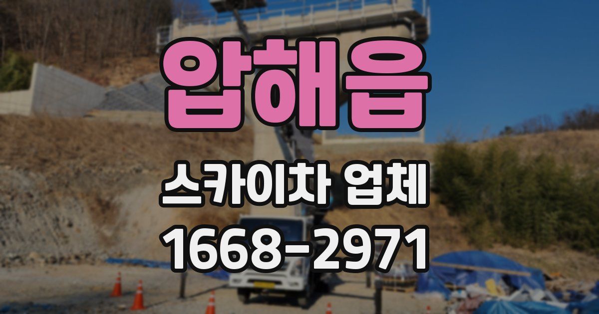 압해읍 스카이차 업체