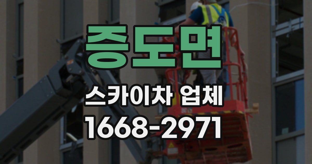증도면 스카이차 업체