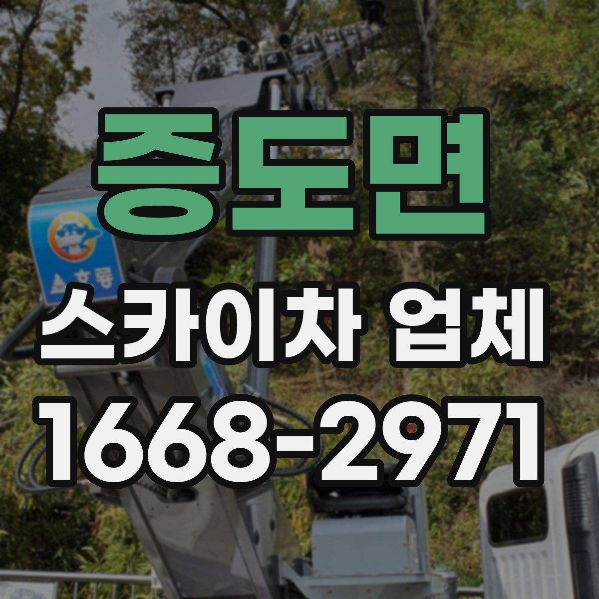 증도면 스카이차 업체