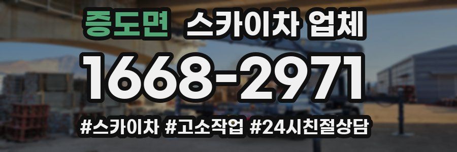 증도면 스카이차 업체