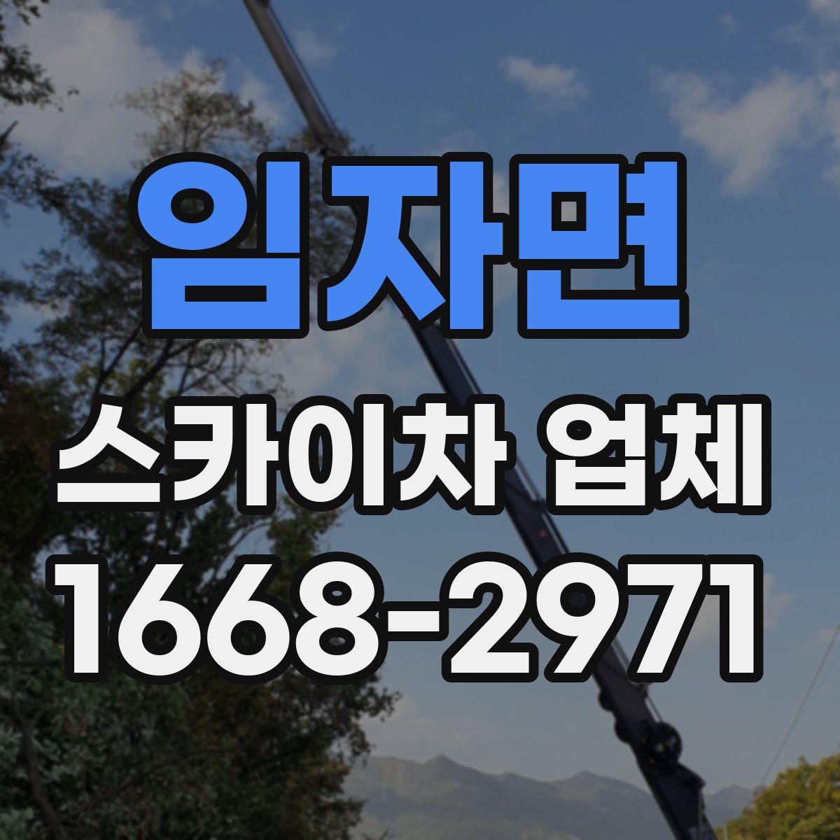 임자면 스카이차 업체
