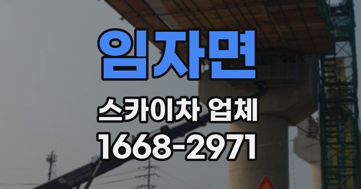 임자면 스카이차 업체