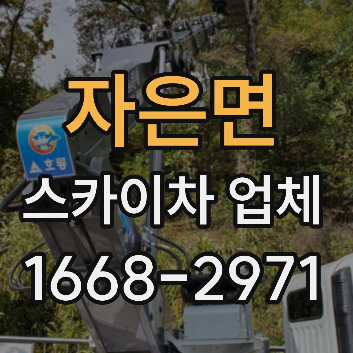 자은면 스카이차 업체