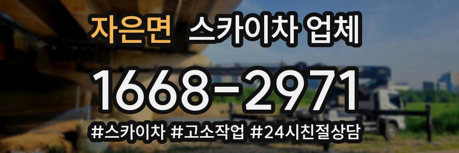 자은면 스카이차 업체
