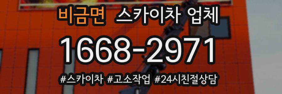 비금면 스카이차 업체