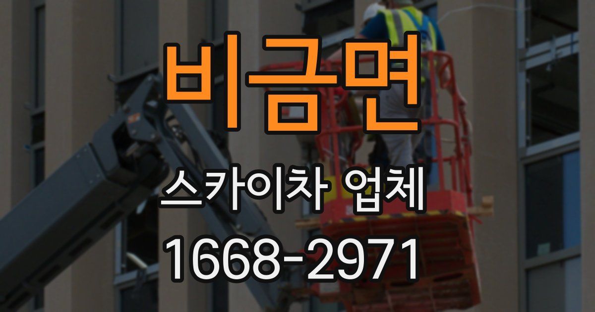 비금면 스카이차 업체