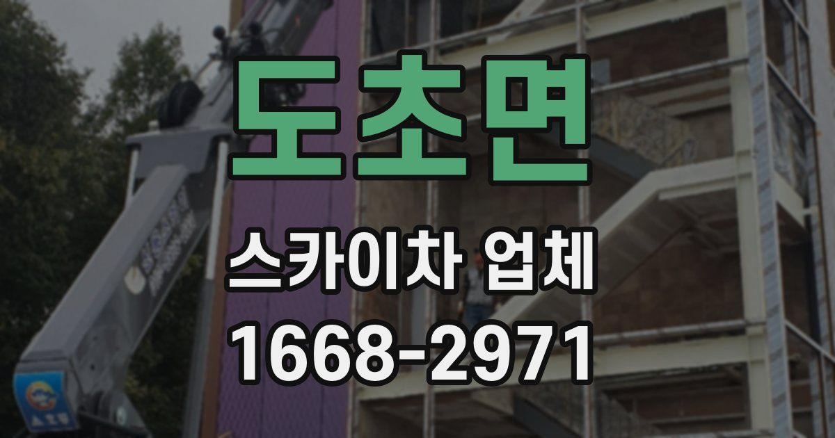 도초면 스카이차 업체