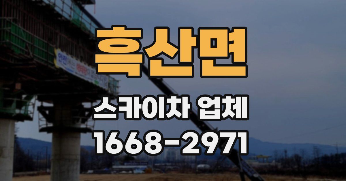 흑산면 스카이차 업체