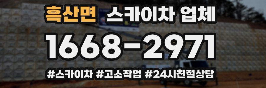 흑산면 스카이차 업체