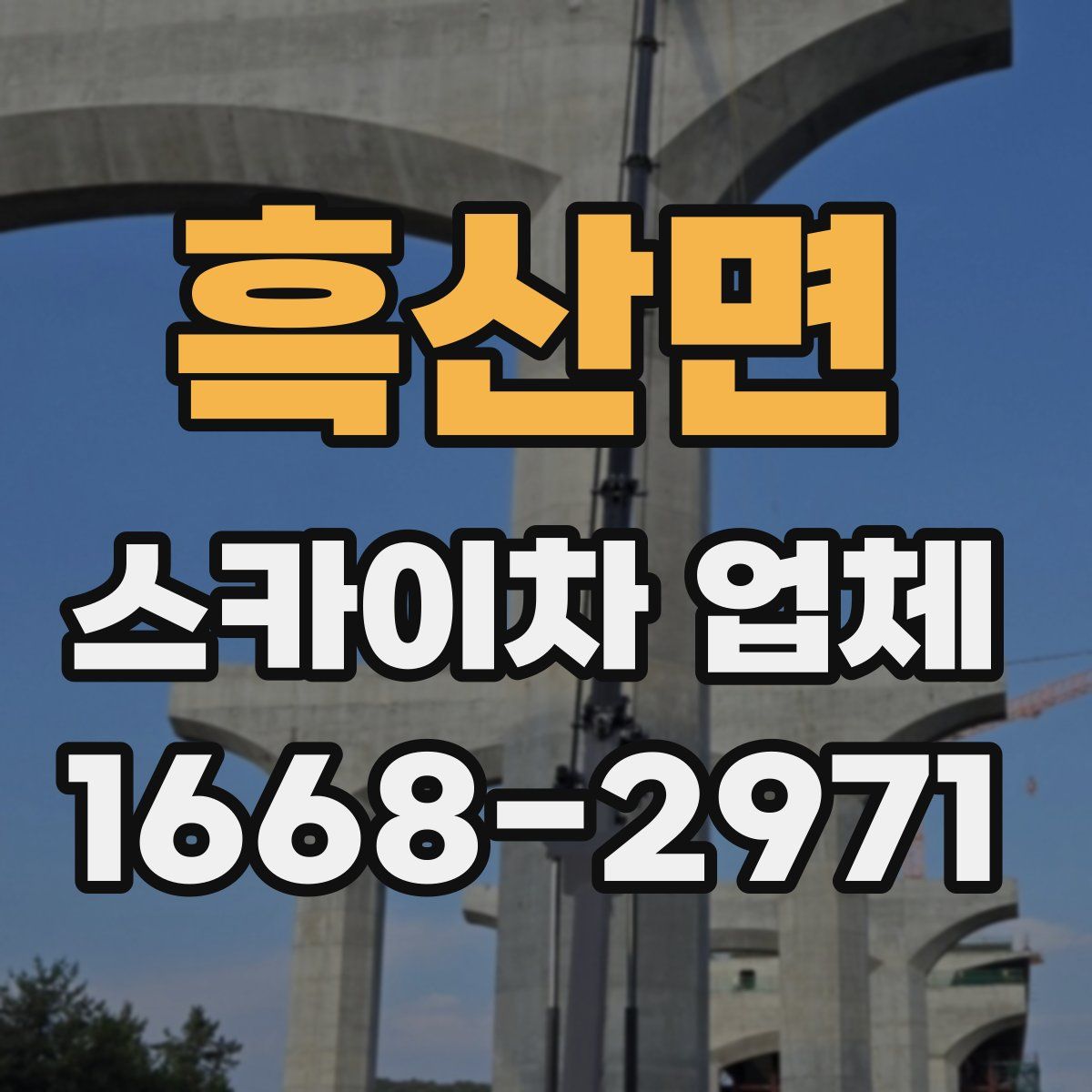 흑산면 스카이차 업체