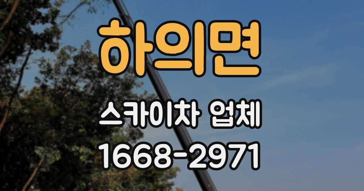 하의면 스카이차 업체