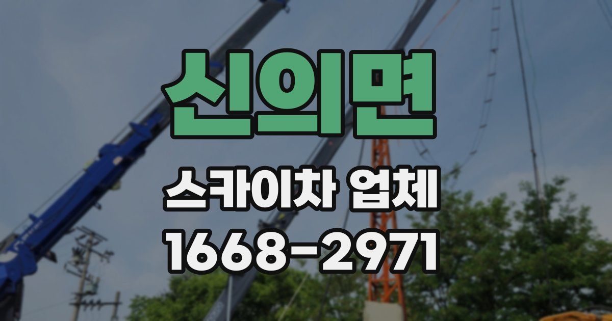 신의면 스카이차 업체