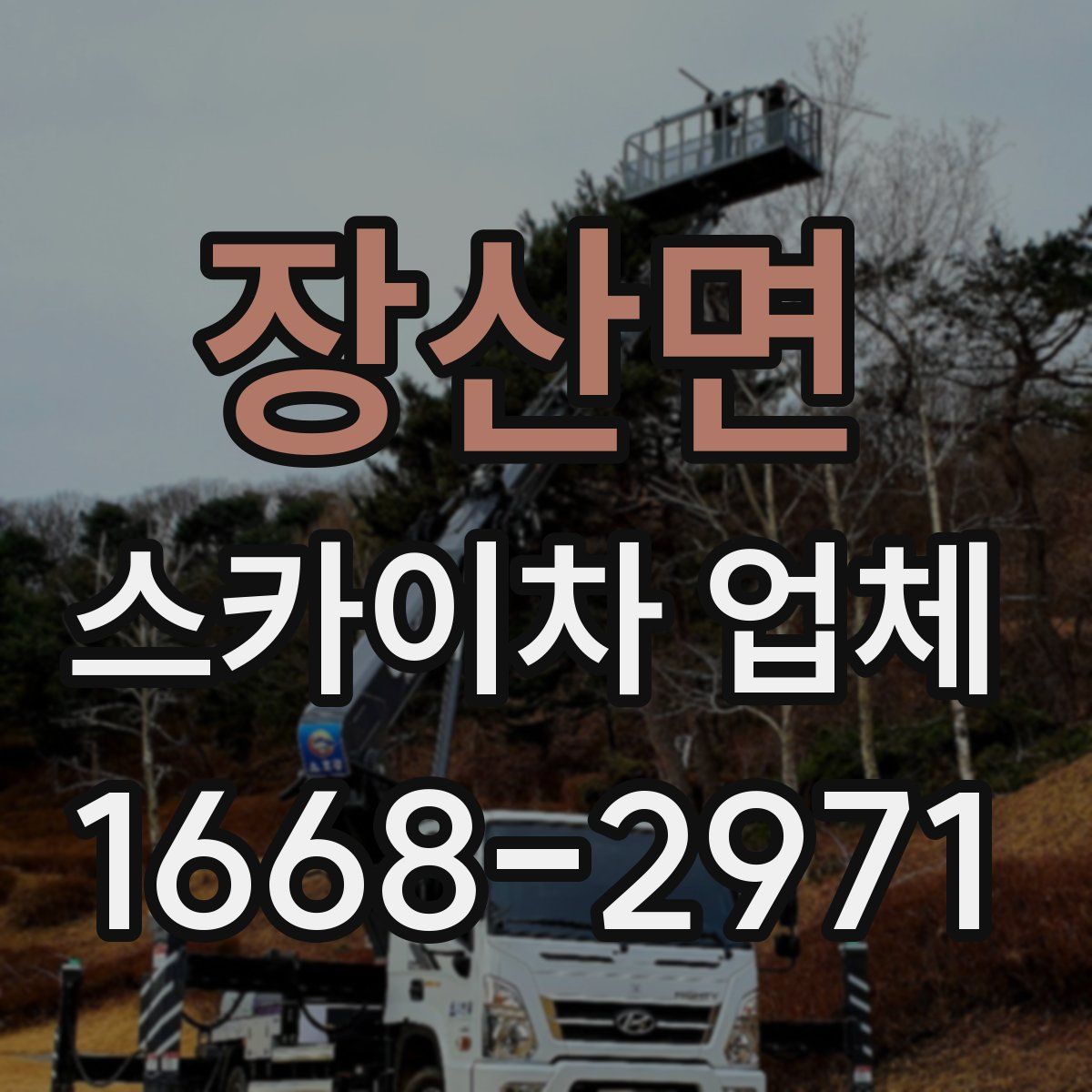 장산면 스카이차 업체