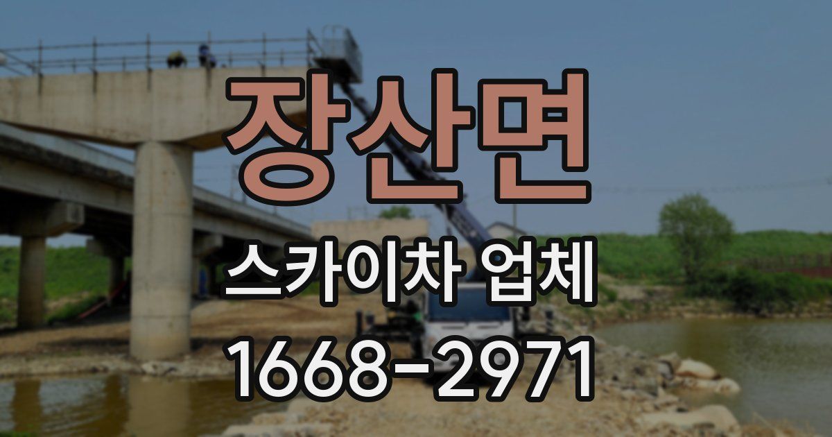 장산면 스카이차 업체