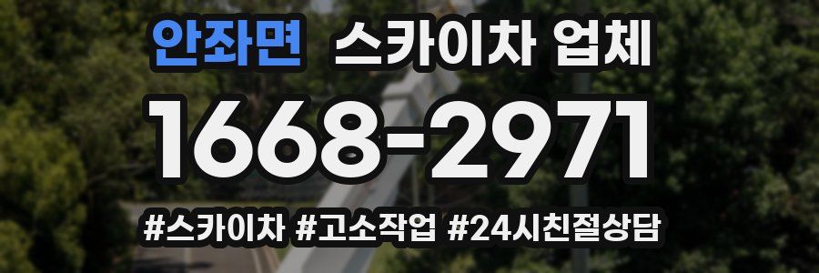 안좌면 스카이차 업체