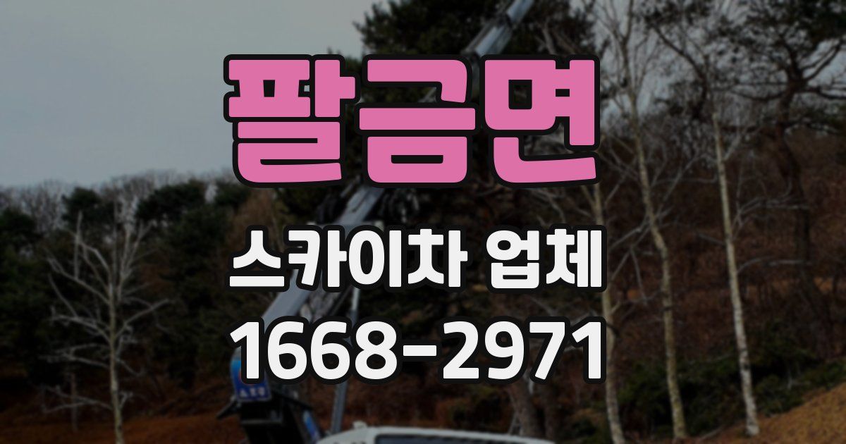 팔금면 스카이차 업체