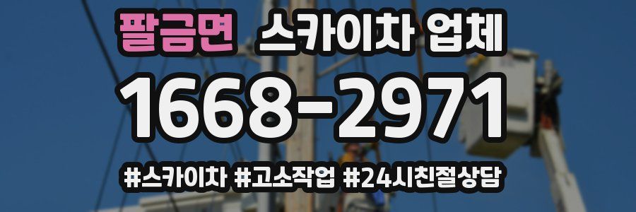 팔금면 스카이차 업체