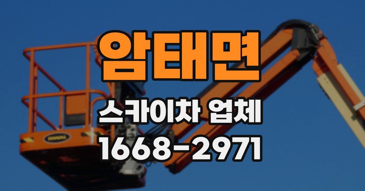암태면 스카이차 업체