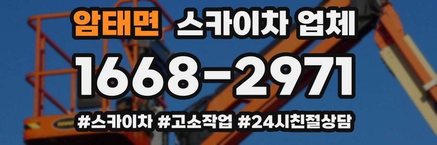 암태면 스카이차 업체