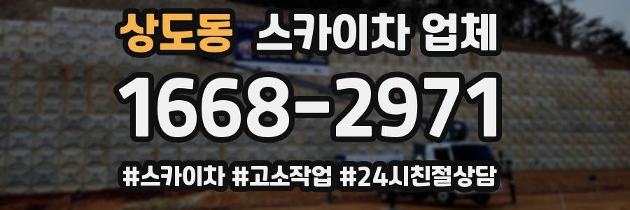 상도동 스카이차 업체