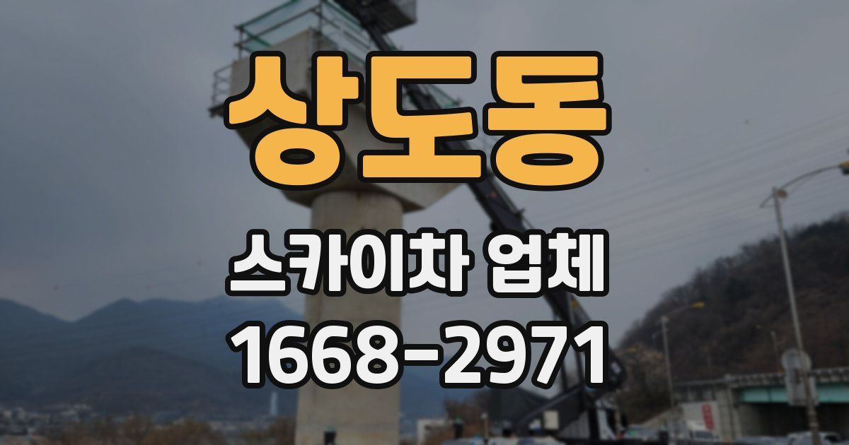 상도동 스카이차 업체
