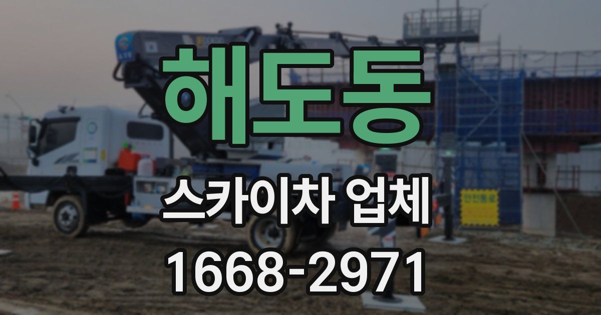 해도동 스카이차 업체