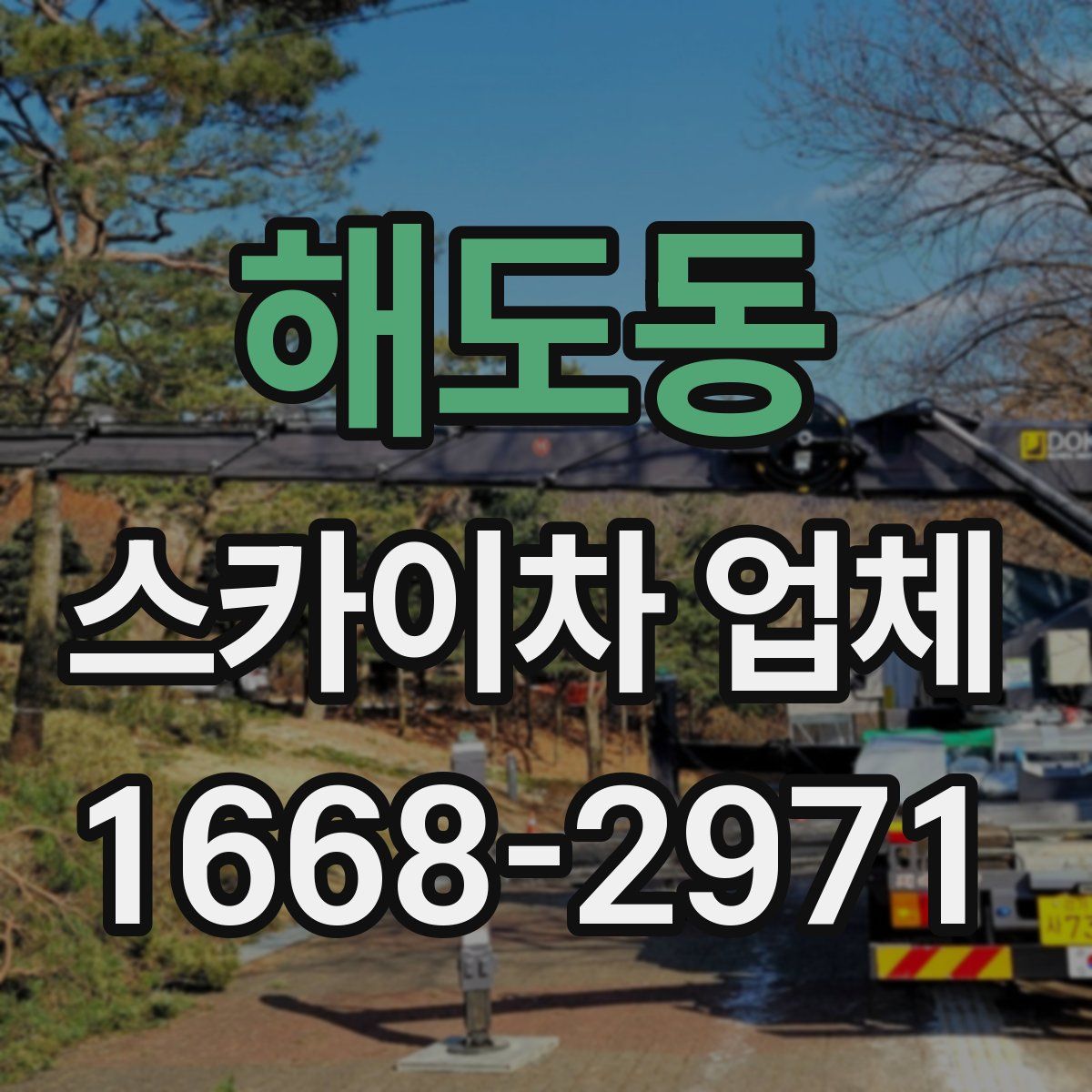 해도동 스카이차 업체