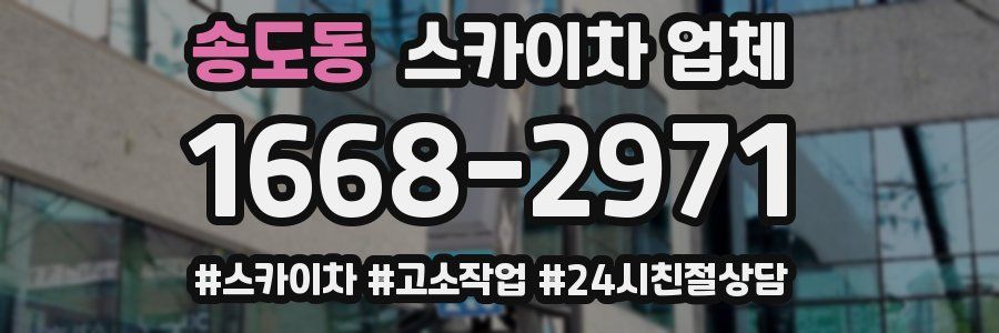 송도동 스카이차 업체