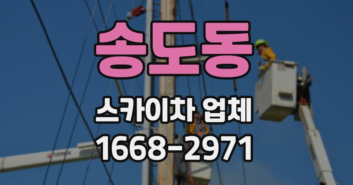 송도동 스카이차 업체