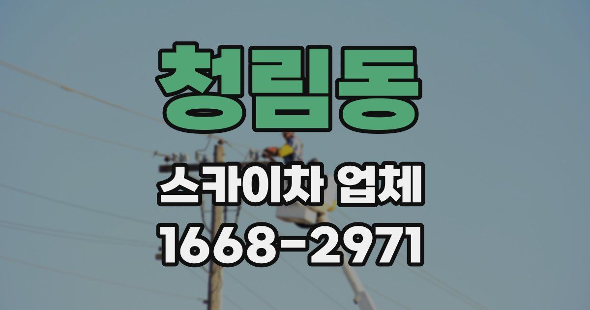 청림동 스카이차 업체