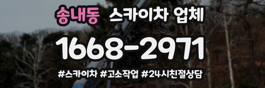 송내동 스카이차 업체