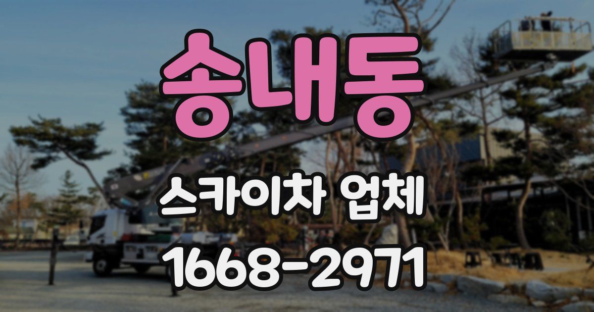 송내동 스카이차 업체