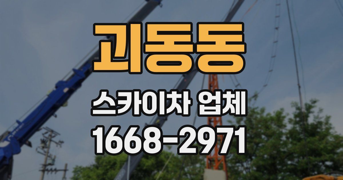 괴동동 스카이차 업체