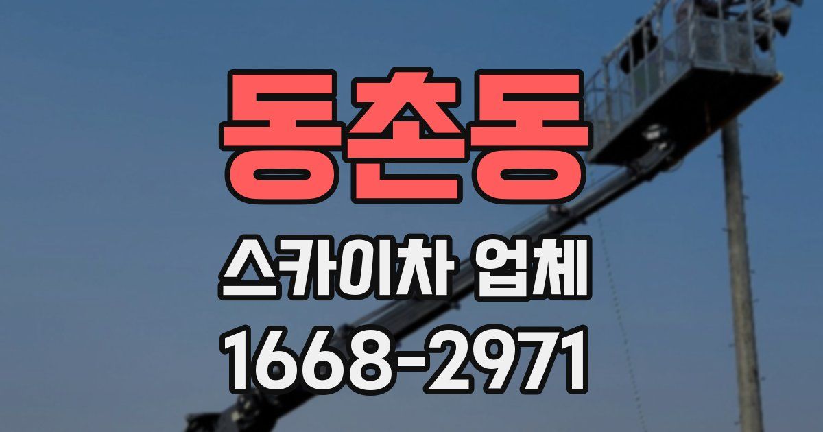 동촌동 스카이차 업체