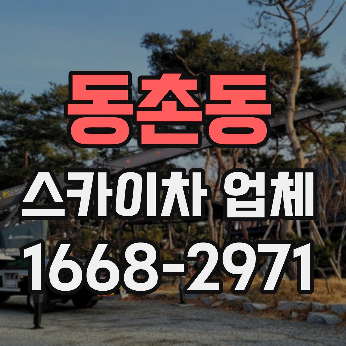동촌동 스카이차 업체