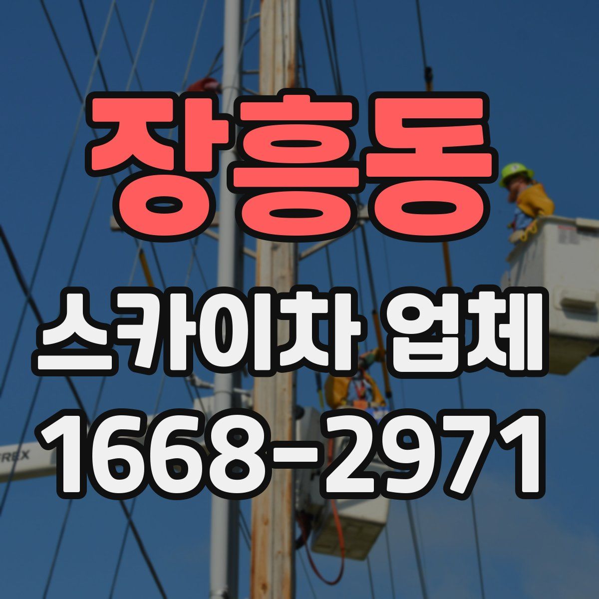 장흥동 스카이차 업체